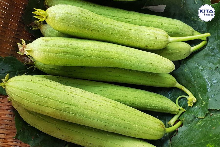 trái mướp