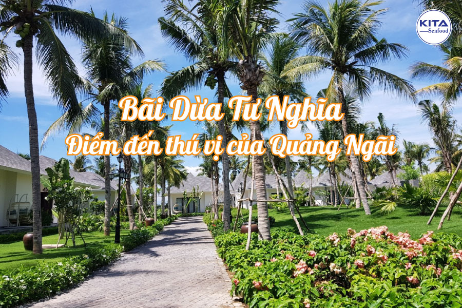 Bãi Dừa Tư Nghĩa - Điểm đến thú vị của Quảng Ngãi