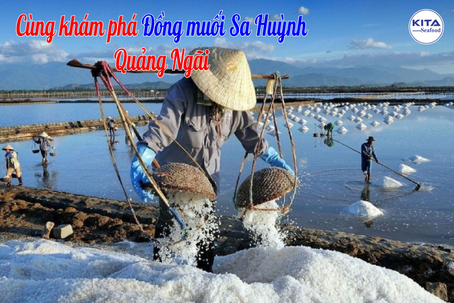 Cùng khám phá Đồng muối Sa Huỳnh Quảng Ngãi