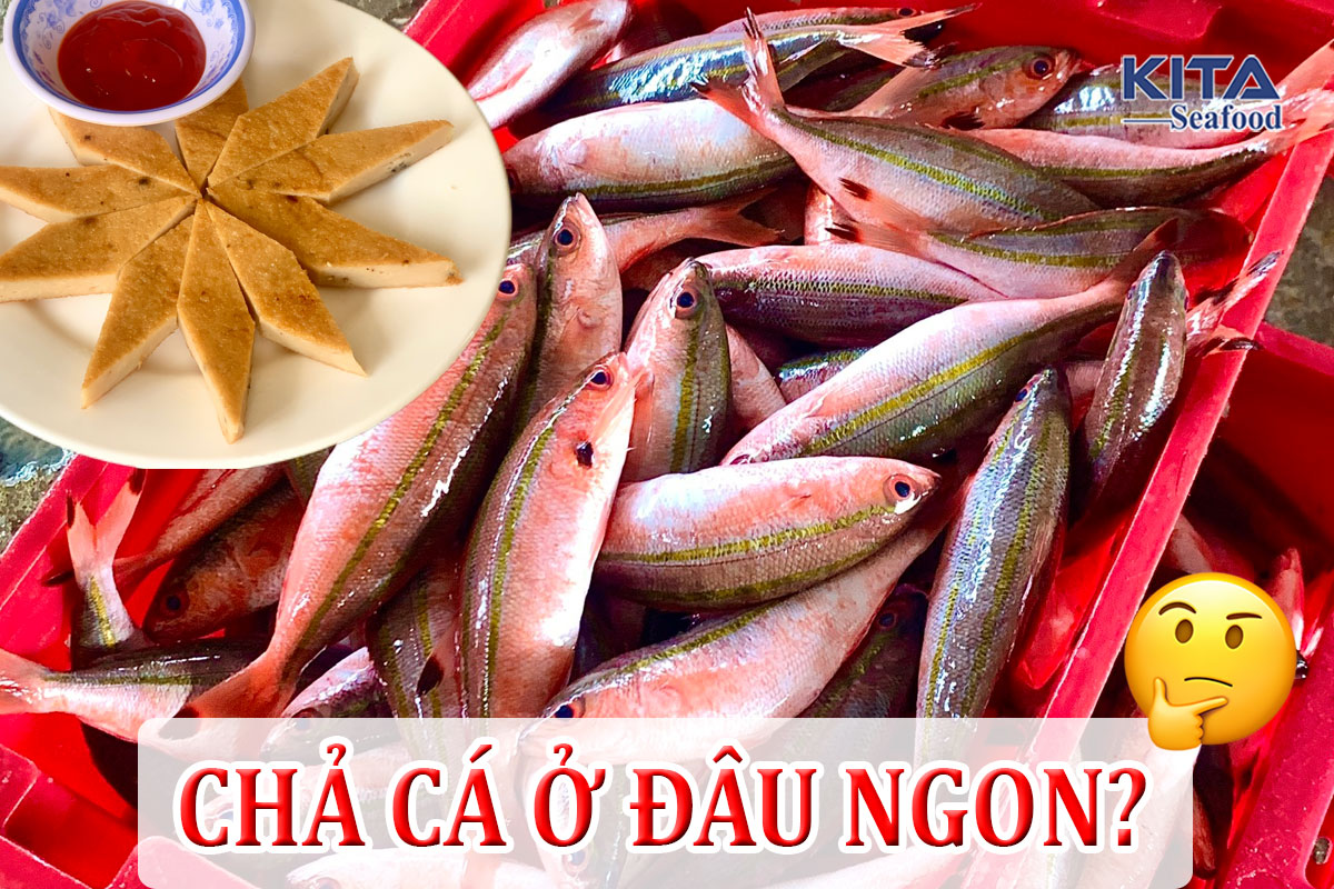 CHẢ CÁ Ở ĐÂU NGON?