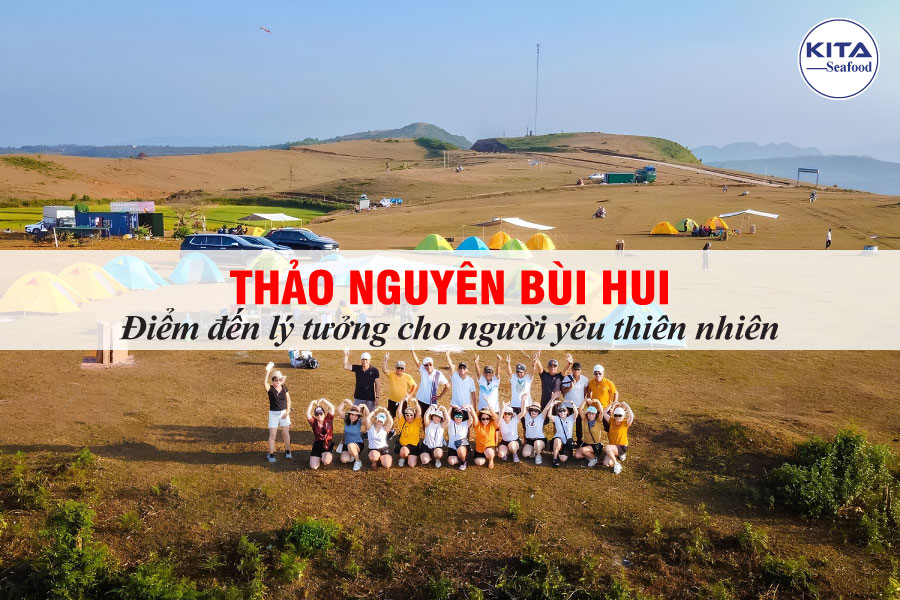 Thảo Nguyên Bùi Hui - Điểm Đến Lý Tưởng Cho Người Yêu Thiên Nhiên