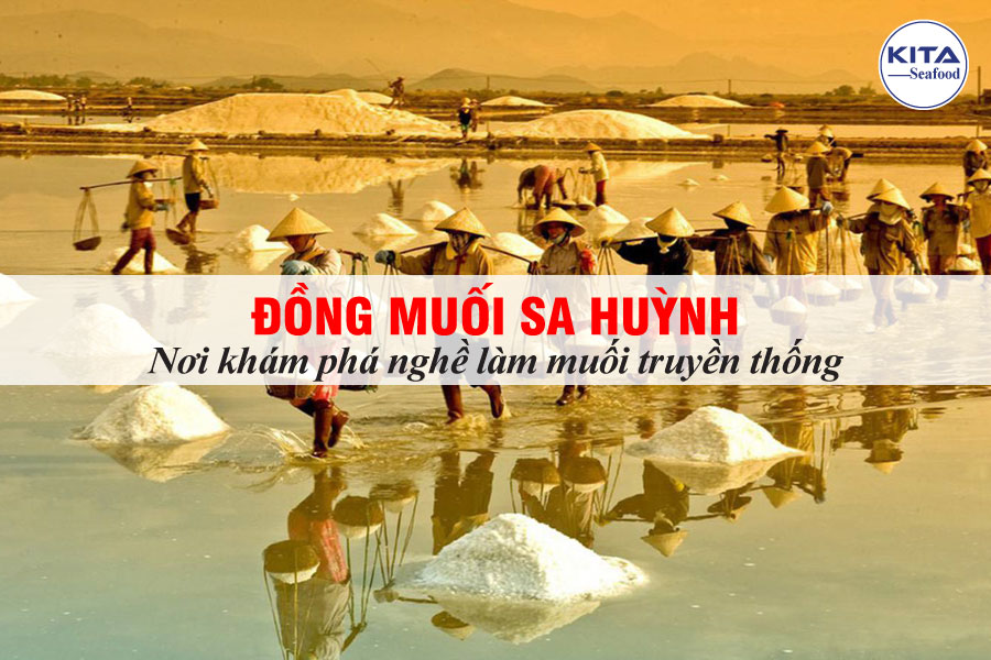 Đồng Muối Sa Huỳnh - Nơi Khám Phá Nghề Làm Muối Truyền Thống